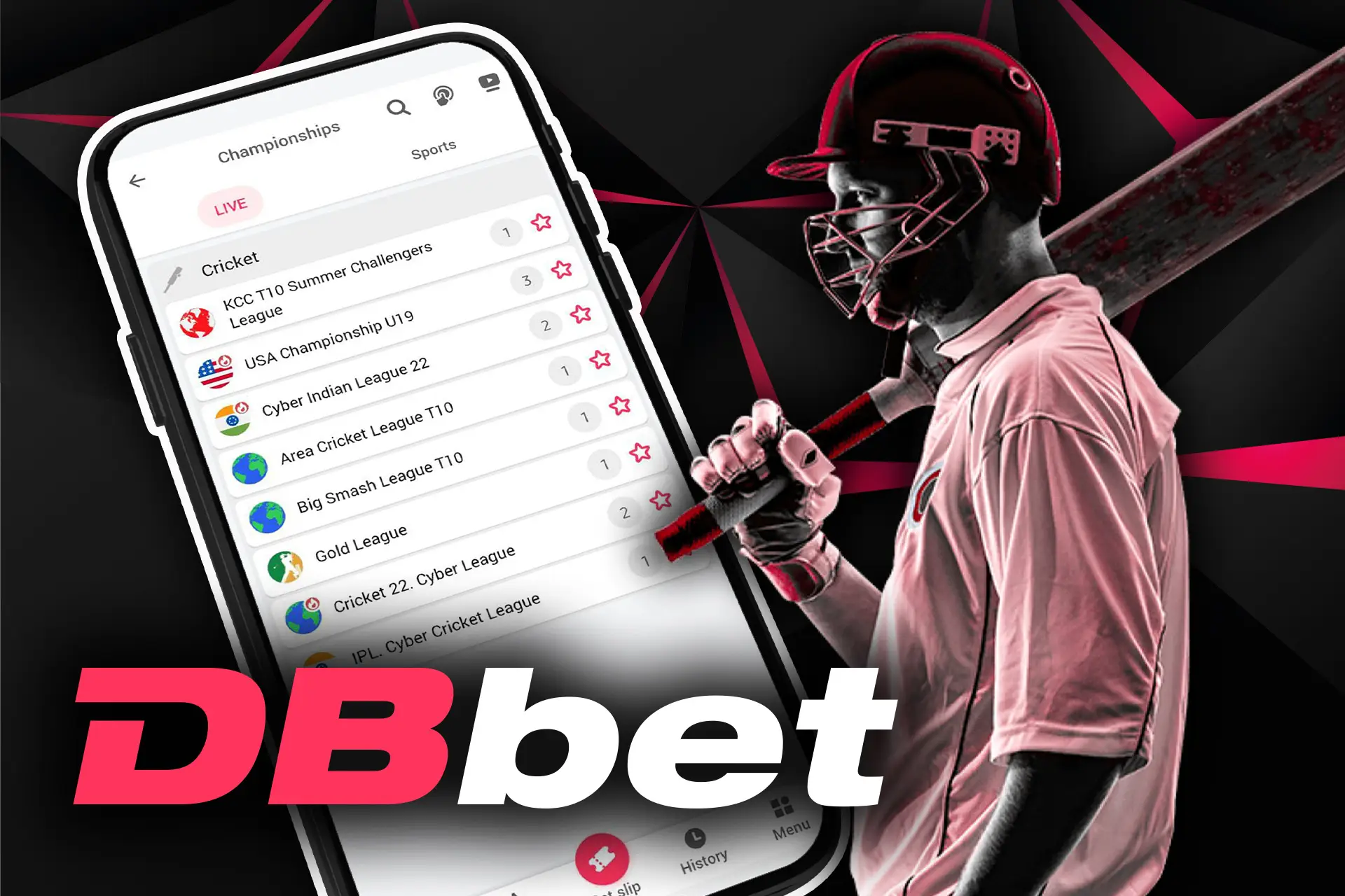 In the DBbet app, cricket betting is available to you.