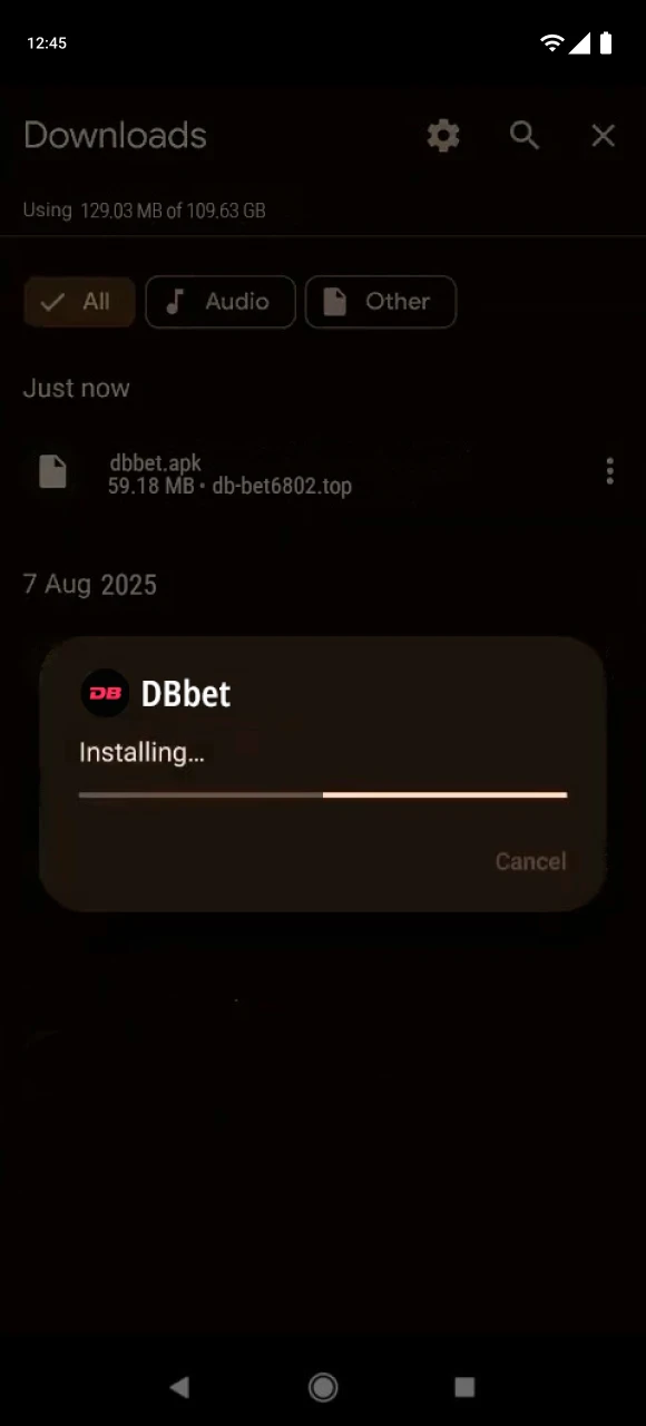 Confirm the installation of the DBbet app.
