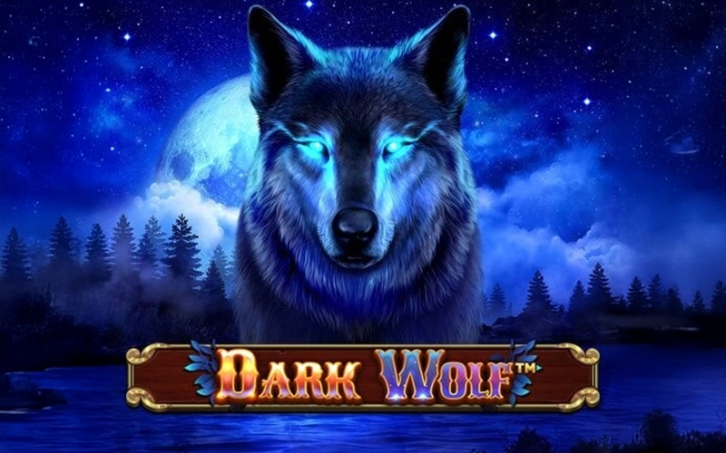 The Dark Wolf game is waiting for you at DBbet for big prizes.